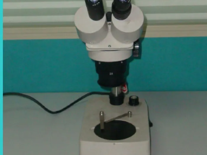 Stereo microscope